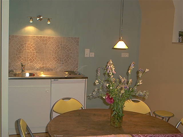 appartement T2 a louer - cuisine equipe