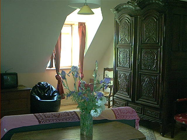 appartement T2 a louer - salon pierres apparentes